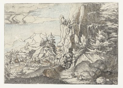 Landscape with a Shaded Cliff by Albrecht Altdorfer